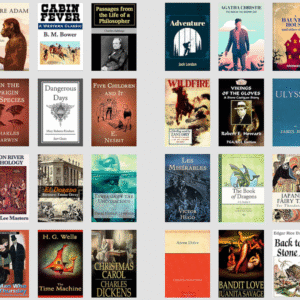 1000 Timeless Classic & Famous Novels | Digital Library with Full PLR Rights | 100% Copyright-Free Collection